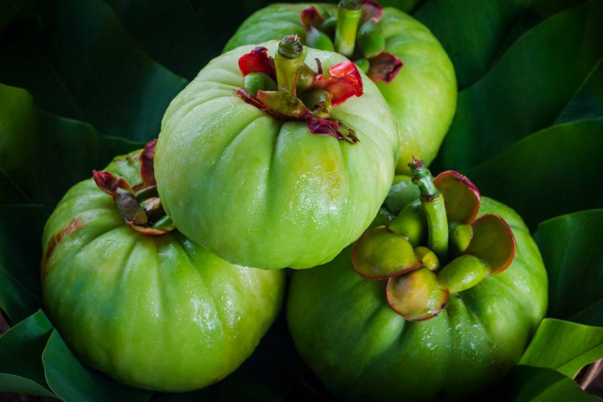 Garcinia-Cambogia-bio-achat