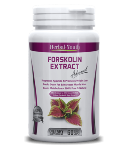 Forskolin: un eficiente quemador de grasa