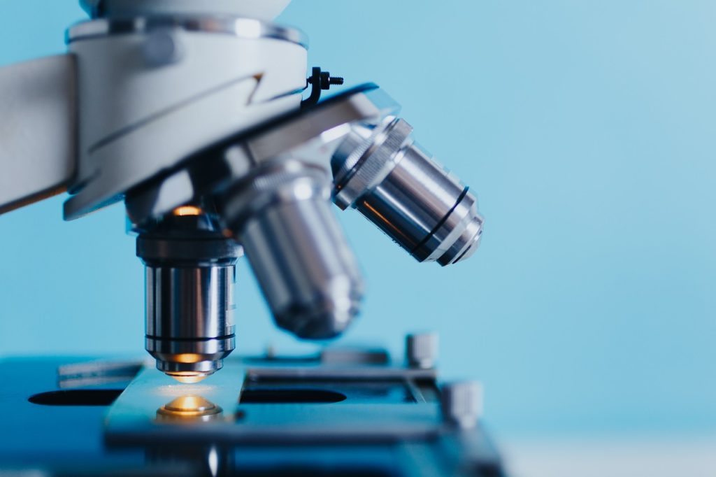 Preuves scientifiques et études cliniques sur l'efficacité de la gelée royale : ce qu'il faut savoir